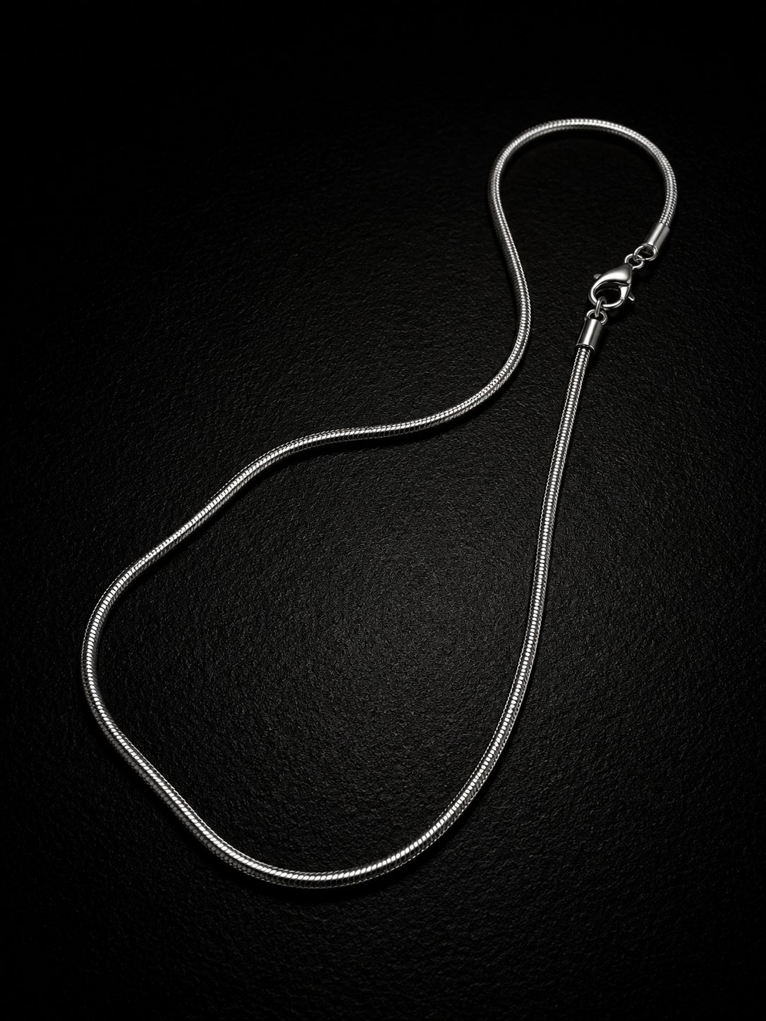 THIN LINE — Silver Snake Chain Necklace