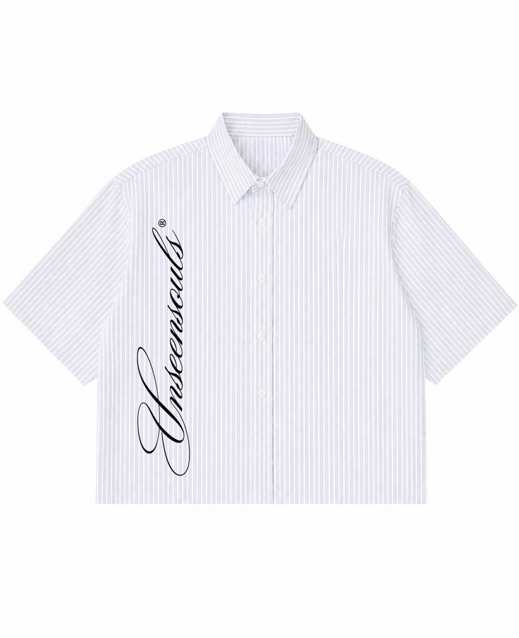 Blue Striped Oxford Boxy Shirt Front Design